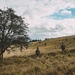 Royal Military Academy Sandhurst Officer Cadets train at Grafenwoehr Training Area