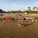 Marine Corps Combat Service Support Schools celebrates 248th birthday of the Marine Corps with motivational run