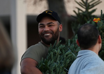Capitol Christmas Tree arrives at JBA