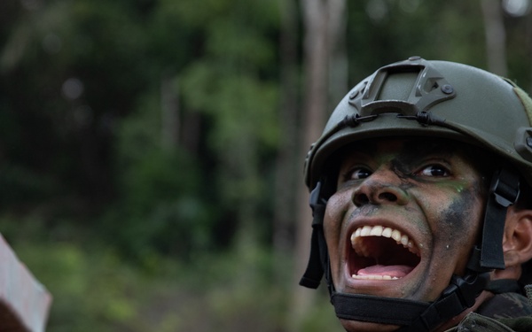 U.S. and Brazilian Soldiers Conduct Final Movements and Assault of SV24
