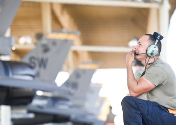 79th ‘Tigers’ show their claws during ACE exercise