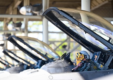 79th ‘Tigers’ show their claws during ACE exercise