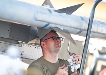 79th ‘Tigers’ show their claws during ACE exercise