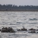 24th MEU MSPF Conducts Intelligence Interoperability Exercise II