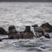 24th MEU MSPF Conducts Intelligence Interoperability Exercise II