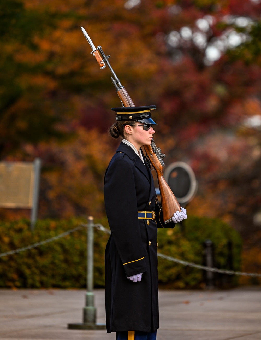 National Veterans Day Observance 2023