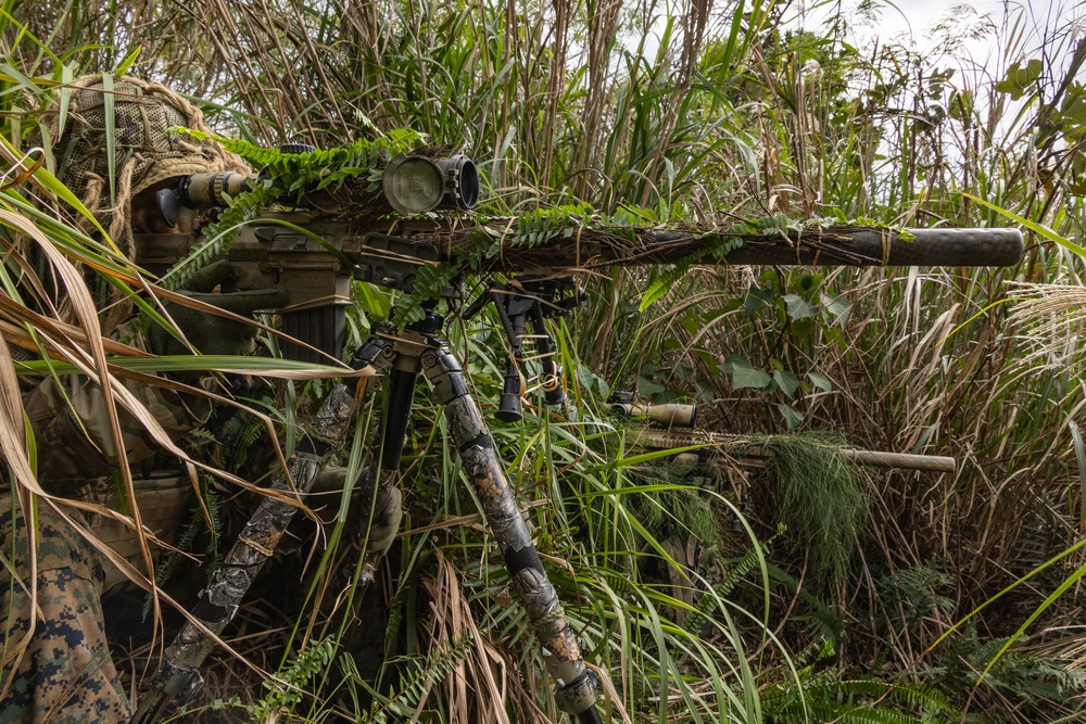 31st MEU Maritime Raid Force Conducts Amphibious Raid Exercise