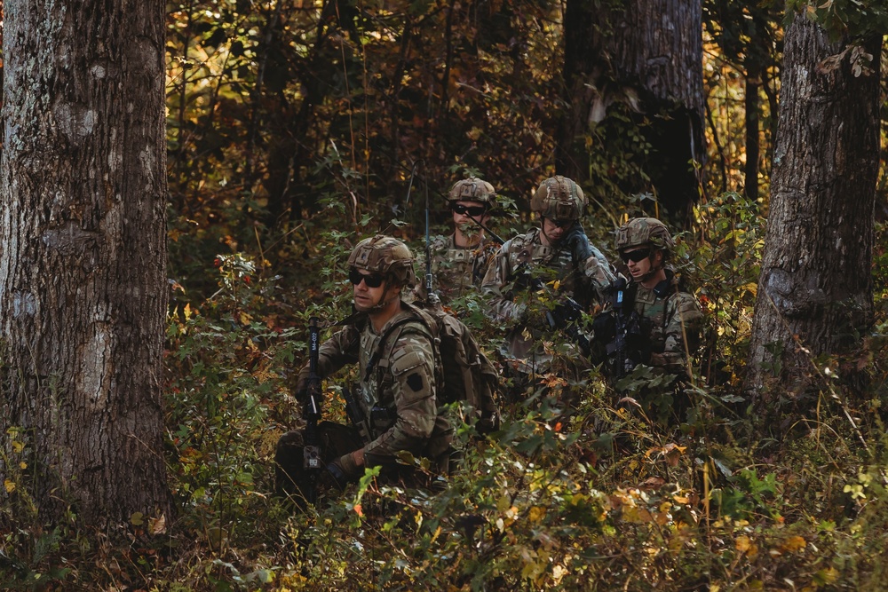 Platoon maneuver