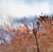 Fort McCoy prescribed burn team manages mid-November prescribed burn at installation
