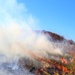Fort McCoy prescribed burn team manages mid-November prescribed burn at installation