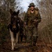 2nd Marine Logistics Group Participates in a Mule Packing Course