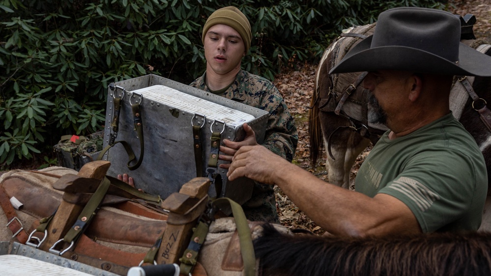 2nd Marine Logistics Group Participates in a Mule Packing Course