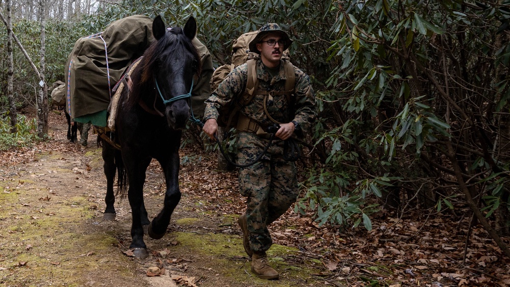 2nd Marine Logistics Group Participates in a Mule Packing Course