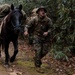 2nd Marine Logistics Group Participates in a Mule Packing Course