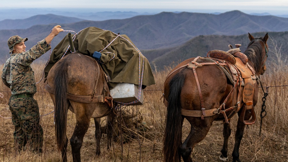 2nd Marine Logistics Group Participates in a Mule Packing Course