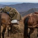 2nd Marine Logistics Group Participates in a Mule Packing Course