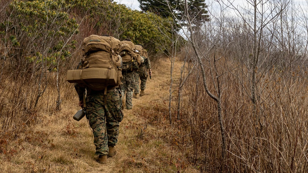 2nd Marine Logistics Group Participates in a Mule Packing Course