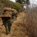 2nd Marine Logistics Group Participates in a Mule Packing Course