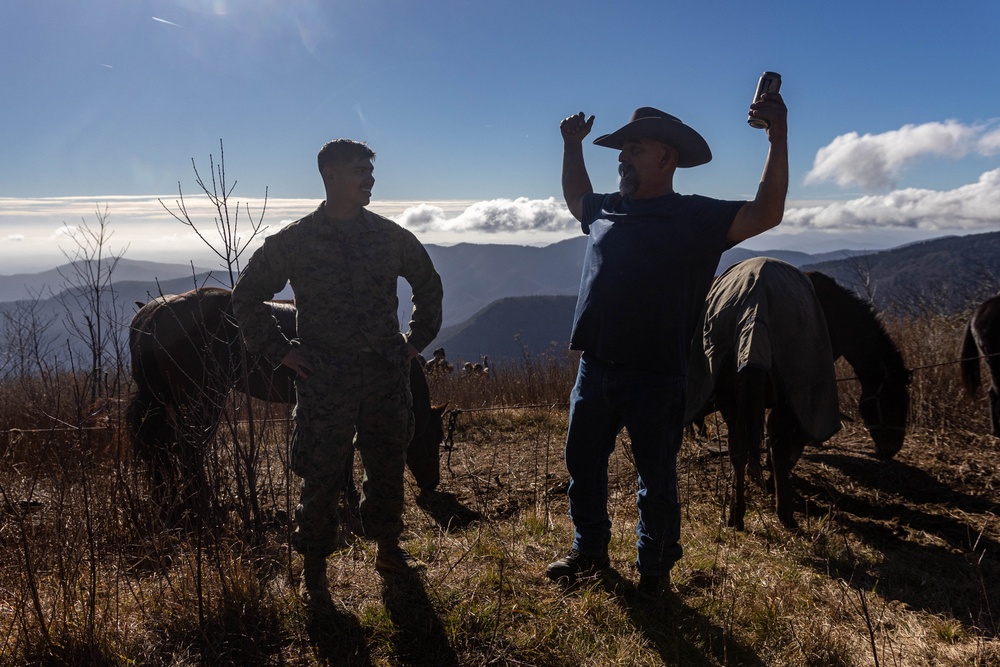 2nd Marine Logistics Group Participates in a Mule Packing Course