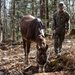 2nd Marine Logistics Group Participates in a Mule Packing Course