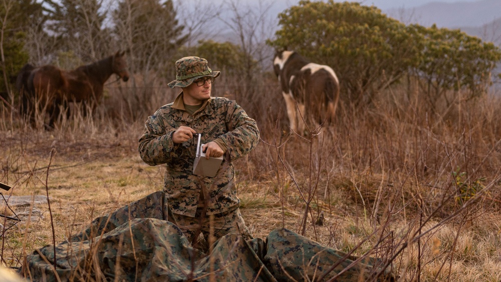 2nd Marine Logistics Group Participates in a Mule Packing Course