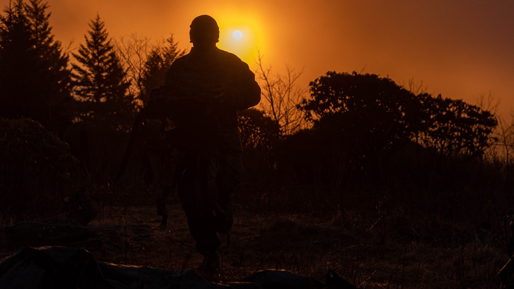 2nd Marine Logistics Group in a Mule Packing Course