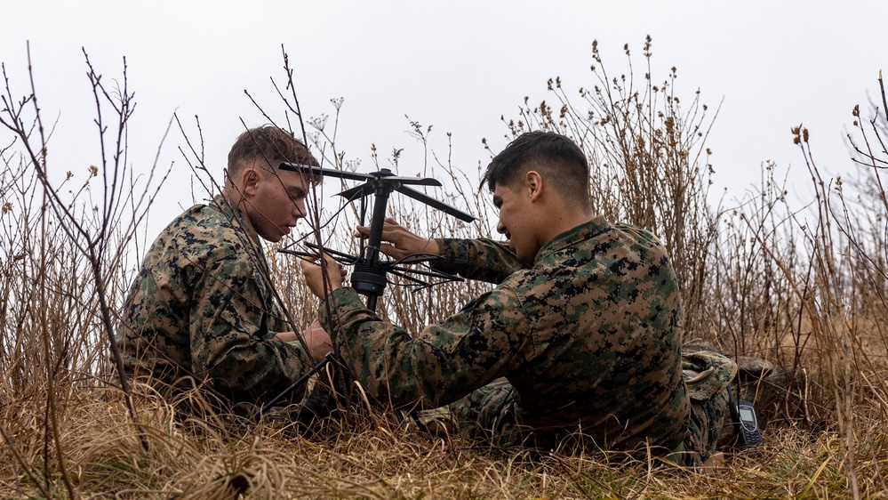 2nd Marine Logistics Group in a Mule Packing Course