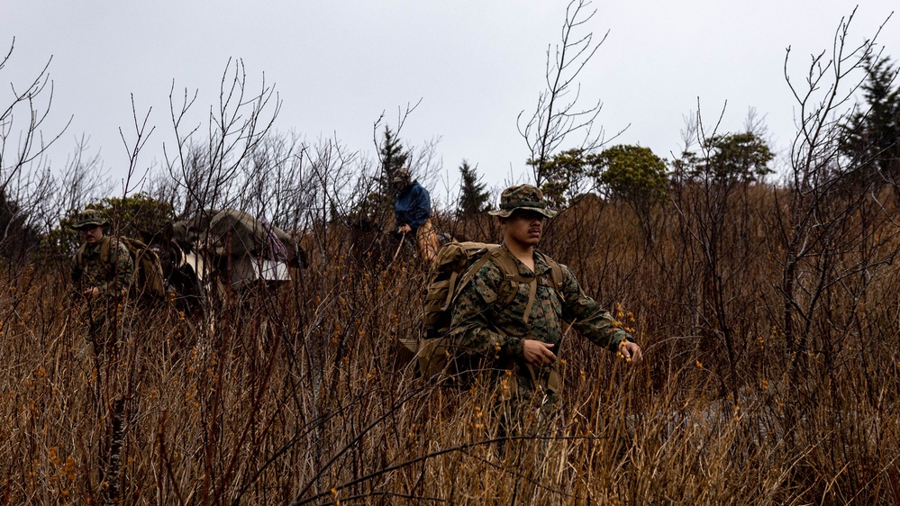 2nd Marine Logistics Group Participates in a Mule Packing Course