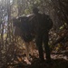 2nd Marine Logistics Group in a Mule Packing Course