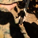 KAMANDAG 7: 3d LLB Jungle Survival Training