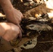 KAMANDAG 7: 3d LLB Jungle Survival Training