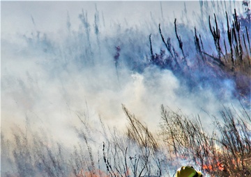 Photo Story: Fort McCoy prescribed burn team manages mid-November prescribed burn at installation, Part II