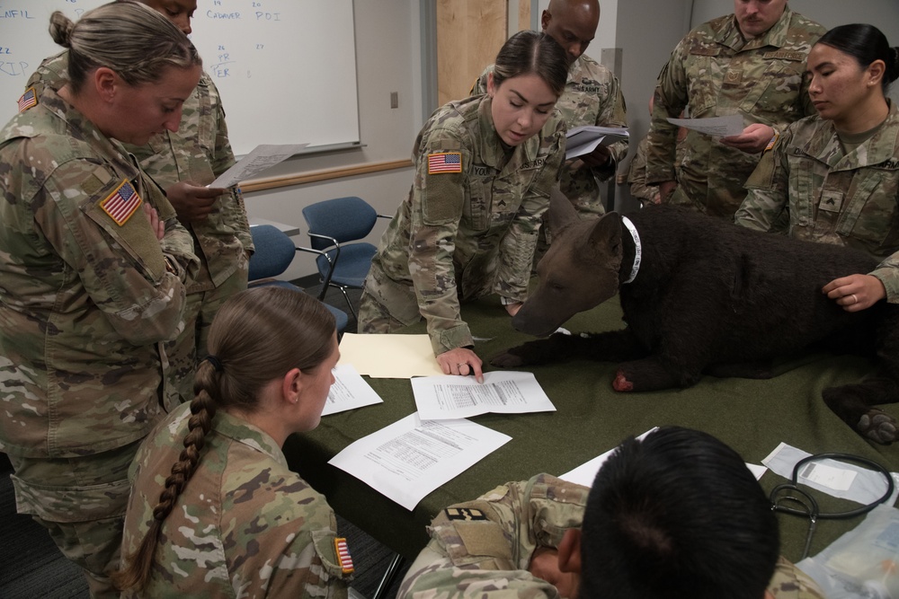 Mountain Medic 22 exercise embodies total force construct, ends successfully