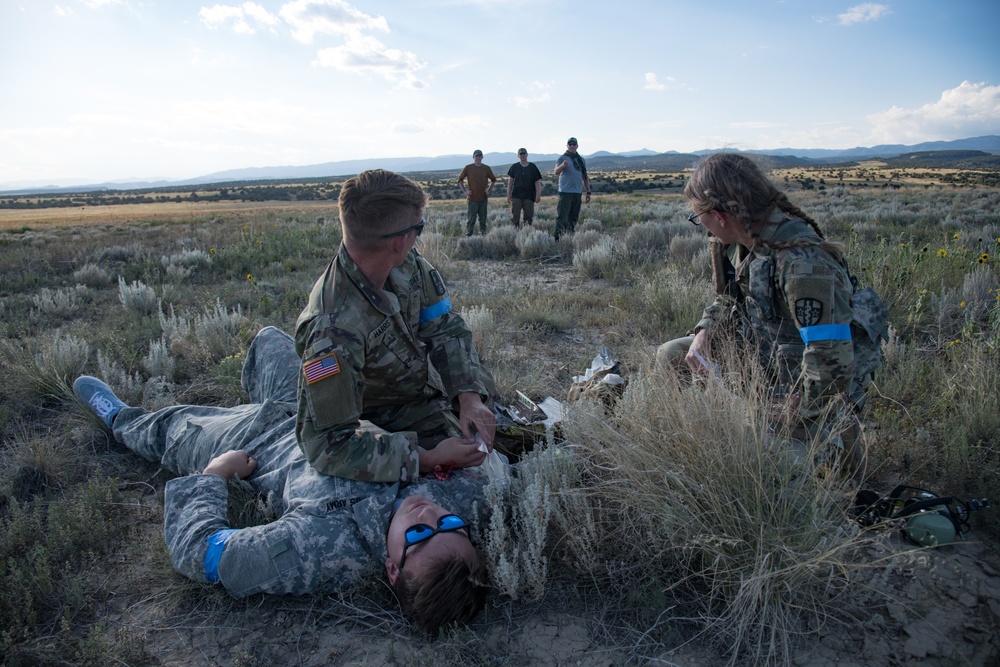 Mountain Medic 22 exercise embodies total force construct, ends successfully