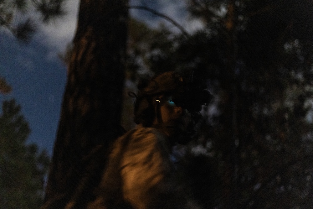BLT 1/8 Conducts Night Raid