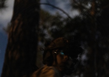 BLT 1/8 Conducts Night Raid