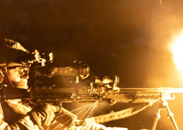 BLT 1/8 Conducts Night Raid