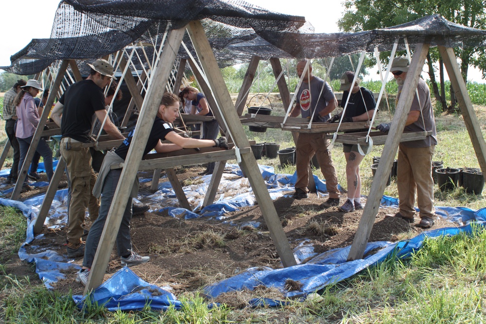 Defense POW/MIA Accounting Agency Partner performs Recovery Fieldwork in Poland