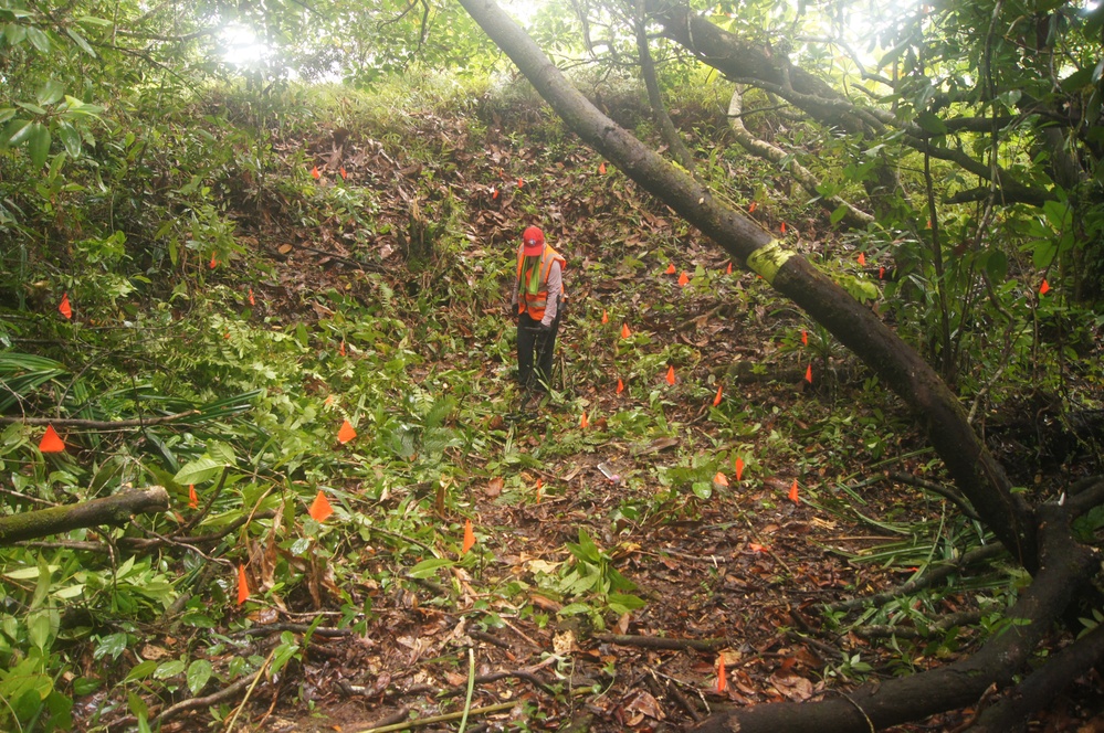 Defense POW/MIA Accounting Agency Partner performs Recovery Fieldwork in Palau