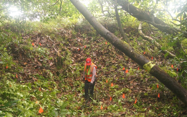 Defense POW/MIA Accounting Agency Partner performs Recovery Fieldwork in Palau