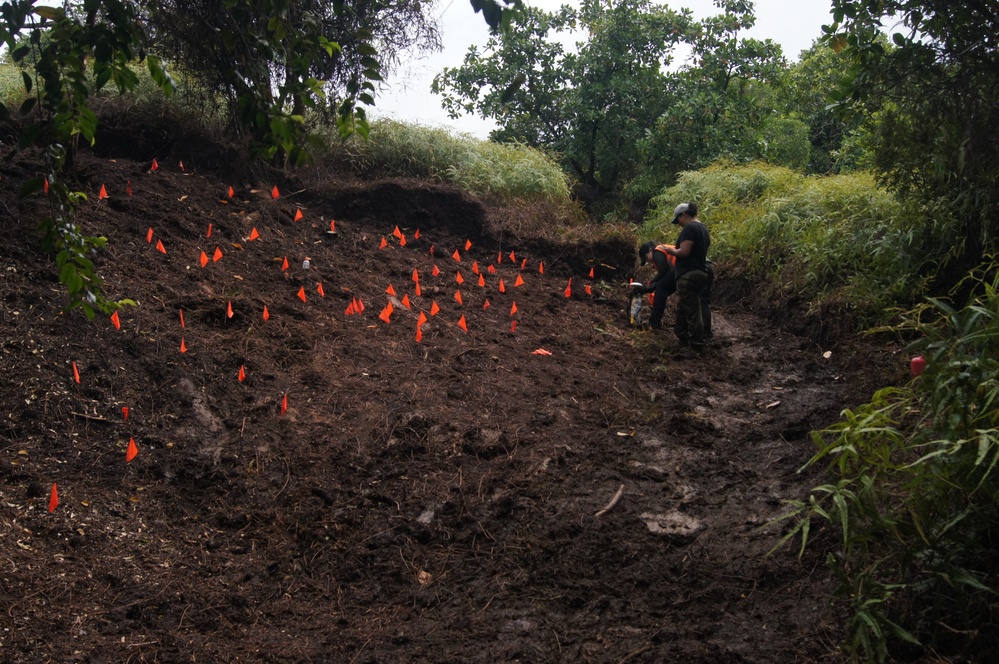 Defense POW/MIA Accounting Agency Partner performs Recovery Fieldwork in Palau