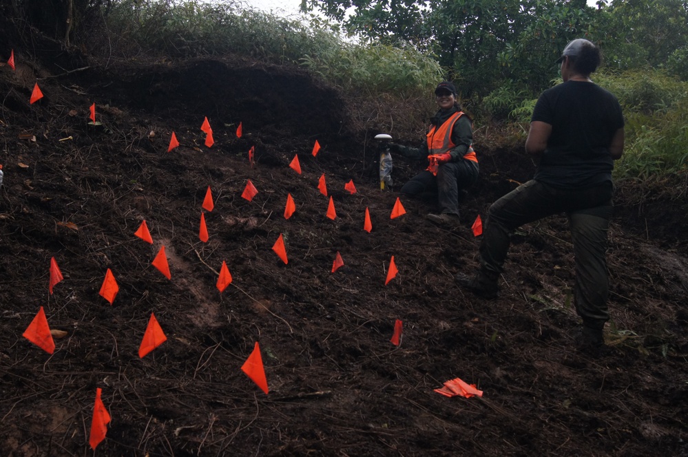 Defense POW/MIA Accounting Agency Partner performs Recovery Fieldwork in Palau