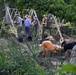 Defense POW/MIA Accounting Agency Partner performs Recovery Fieldwork in Germany