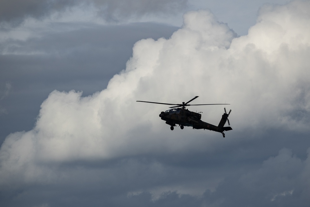 5th ANGLICO &amp; JGSDF l Bilateral joint terminal attack controller training