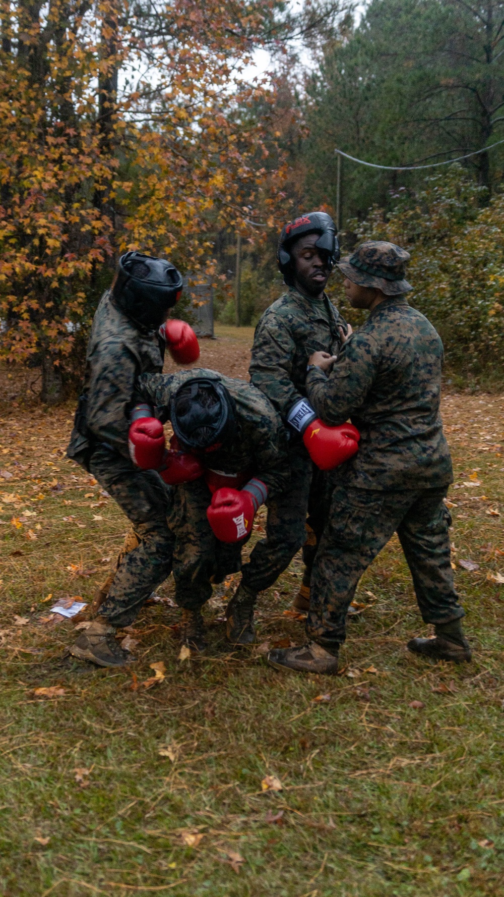 Combat Logistics Battalion 2 Conducts Combat Conditioning Hike and Sparring Event