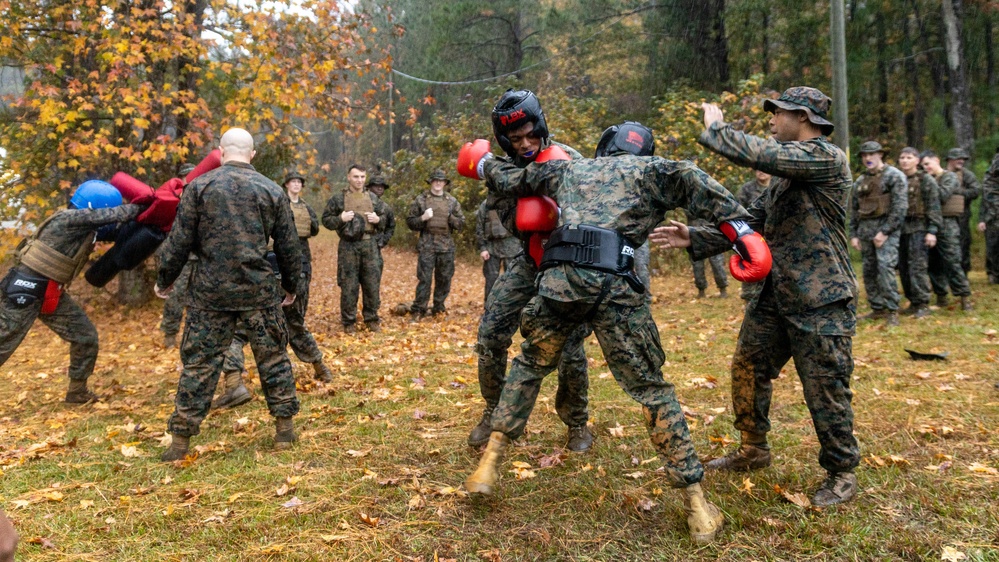 Combat Logistics Battalion 2 Conducts Combat Conditioning Hike and Sparring Event