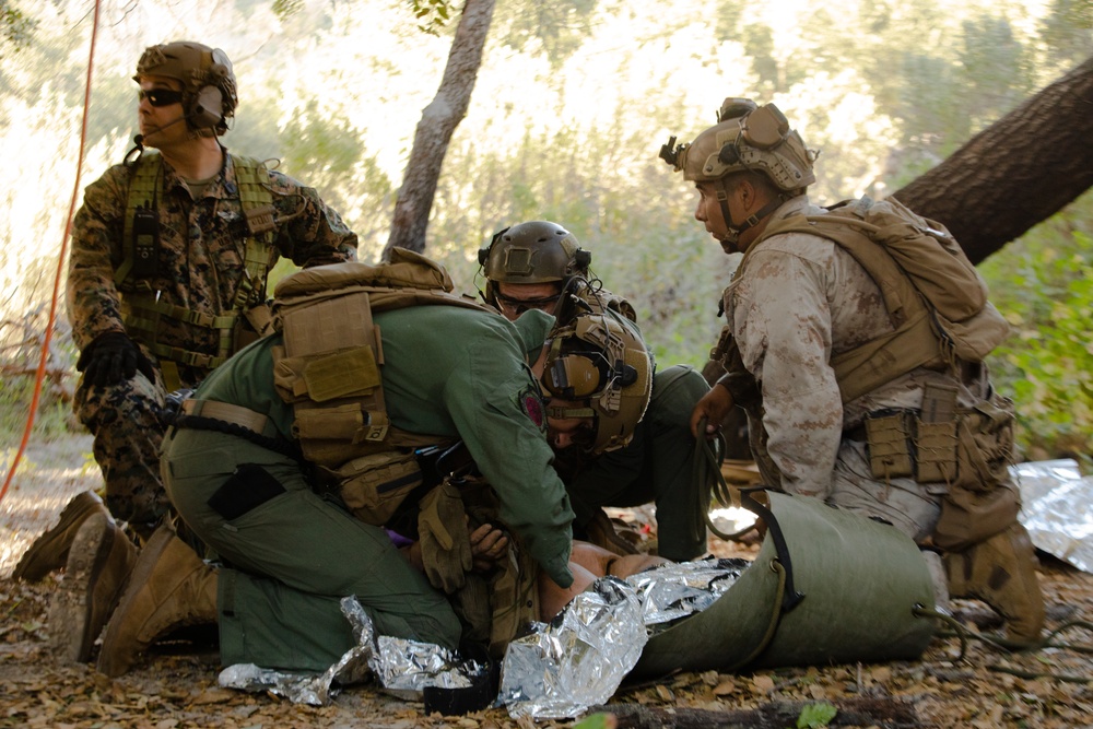 Division Marines participate in EOTG TRAP course