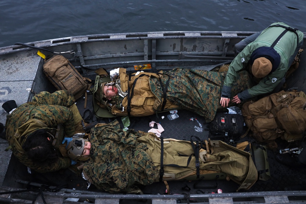 U.S. Marines and U.S. Navy Sailors Conduct A Casualty Evacuation Exercise in Finland