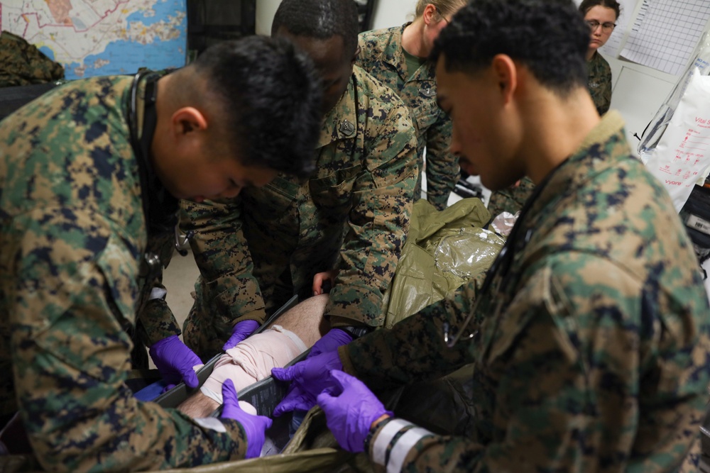 U.S. Marines and U.S. Navy Sailors Conduct A Casualty Evacuation Exercise in Finland