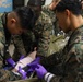 U.S. Marines and U.S. Navy Sailors Conduct A Casualty Evacuation Exercise in Finland